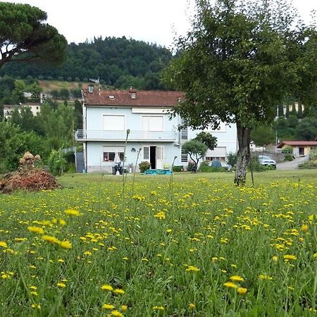 Affittacamere La Foresta Di Sopra 바르가 외부 사진