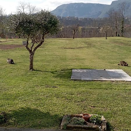 Affittacamere La Foresta Di Sopra 바르가 외부 사진