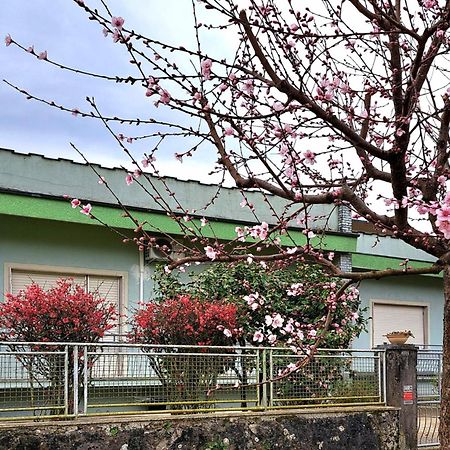 Affittacamere La Foresta Di Sopra 바르가 외부 사진