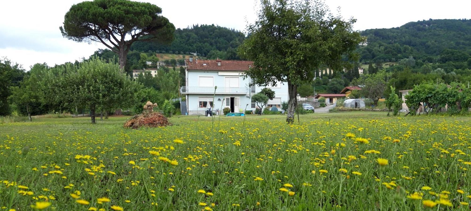 Affittacamere La Foresta Di Sopra 바르가 외부 사진