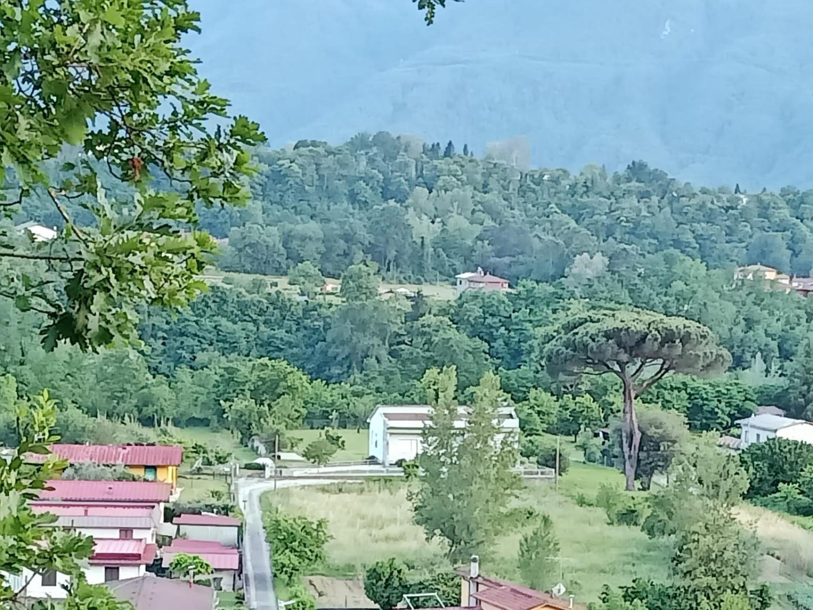 Affittacamere La Foresta Di Sopra 바르가 외부 사진